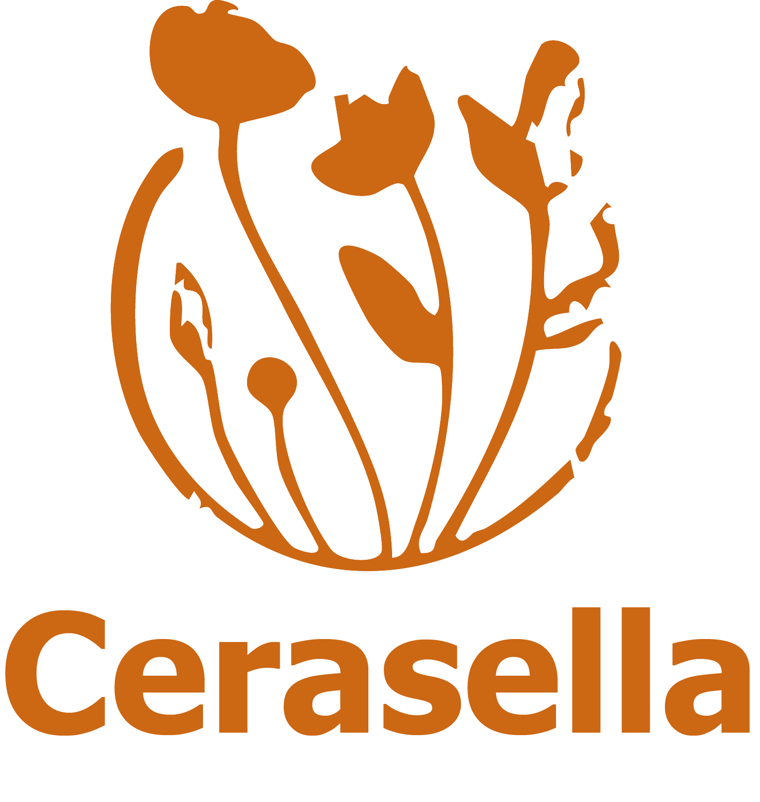 Bottega Cerasella